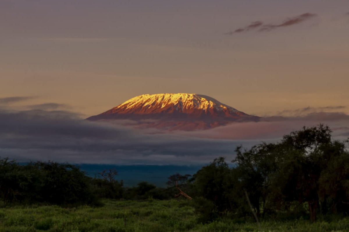 Kilimanjaro