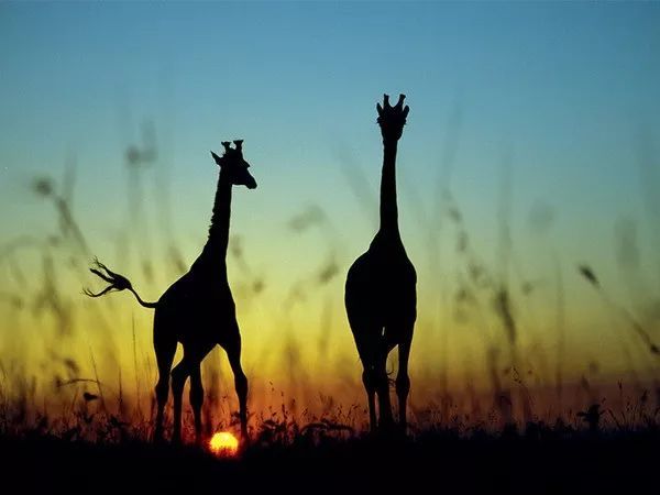 c4967e5be844439cbb4c61453aa392b4